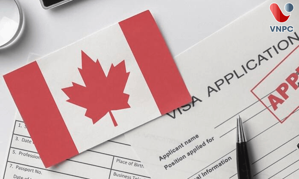 Study Permit Canada Là Gì? Điều Kiện, Hồ Sơ Và Quy Trình Xin